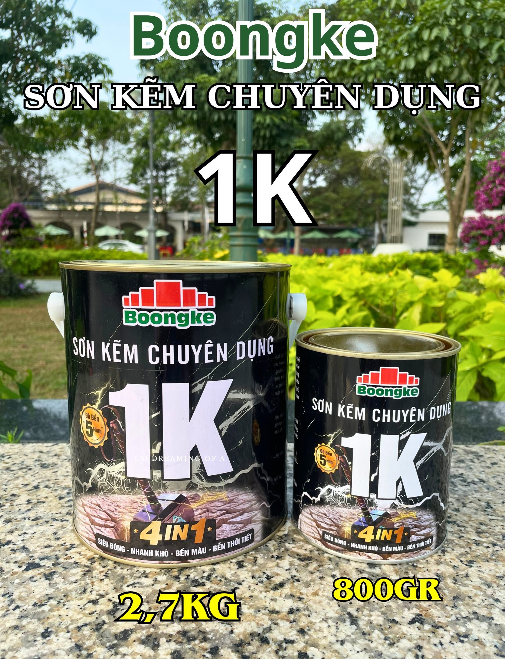 z5185453167496_5277aff45a0842a18b8466357ec7511a