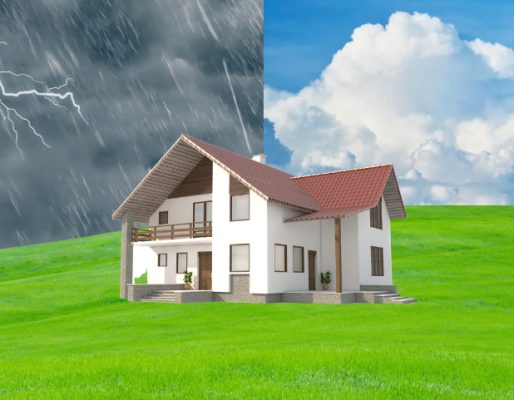 sơn chậu kiểng bền màu