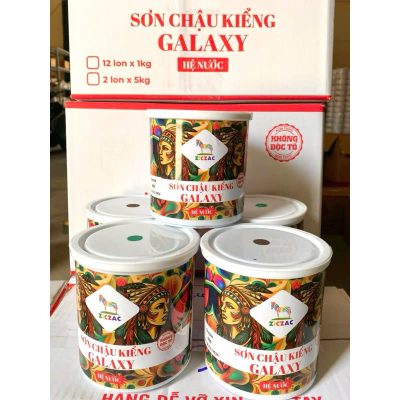 chậu kiểng hệ nước galaxy